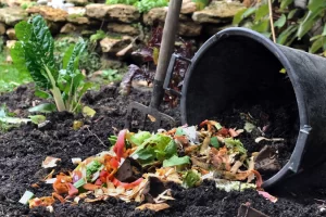 Composting Tips and Tricks